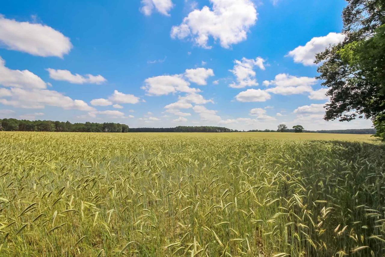 فندق Landgut Voigtsmuehle Friedland  المظهر الخارجي الصورة